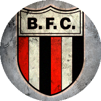 Botafogo Futebol Clubе